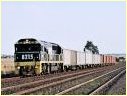 8215,Beveridge