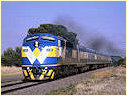 S311,Pettavel