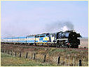 R711,B76,Pirron Yallock