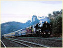 R711,S313,Tallarook