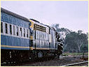 R711,S313,Balmatum