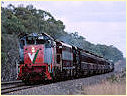 T378,GM36,J515,Euroa