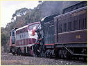 T378,GM36,J515,Euroa