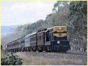 T320,Euroa
