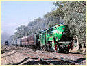 3801,3830,Euroa,Violet Town