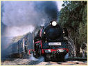 R761,R711,Euroa,Longwood