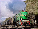 3801,3830,Euroa,Longwood