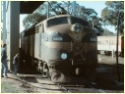 T356,Seymour