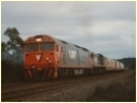 G528,X45,Warrenheip