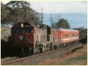 N455,Bacchus Marsh