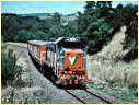 P14,Loch,Nyora