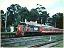 P18,Leongatha