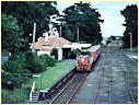 P18,Leongatha
