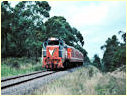 P18,Loch,Nyora