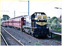 T364,K183,Gardenvale