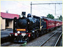 T364,K183,Gardenvale