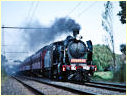 T364,K183,Hampton