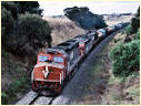 C507,S313,X51,Moorabool,Gheringhap
