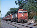 N471,Seymour,Mangalore
