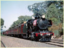 J515,Seymour,Mangalore