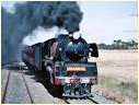 R766,DonnyBrook