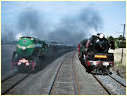 3801,R766,DonnyBrook