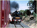 R766,Wandong