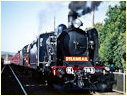 R766,K183,Seymour