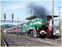 3801,Seymour
