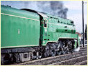 3801,Seymour