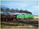3801,Wallan