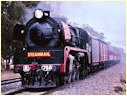R766,Violet Town,Euroa