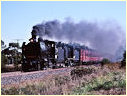K153,K183,Cranbourne