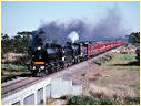 K153,K183,Koo Wee Rup