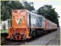 P14,Leongatha