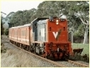 P14,Korumburra