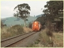 P14,Loch,Nyora