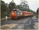 P16,Koala Siding