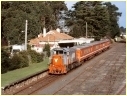 P18,Leongatha