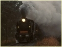 K190,K183,Lyndhurst