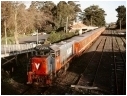 P21,P22,Leongatha