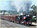 J515,Seymour