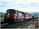 C504,8166,Kilmore East
