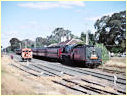 R766,Bridgewater