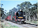 R766,Dunolly