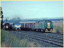 S302,CLF1,Lara,Little River