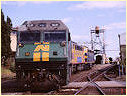 EL51,South Dynon