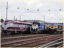 GM36,T385,A85,South Dynon