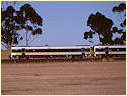 Sprinter,Diggers Rest