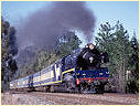 R766,Diggers Rest